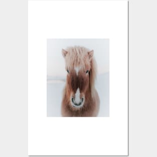 Icelandic Horse Posters and Art